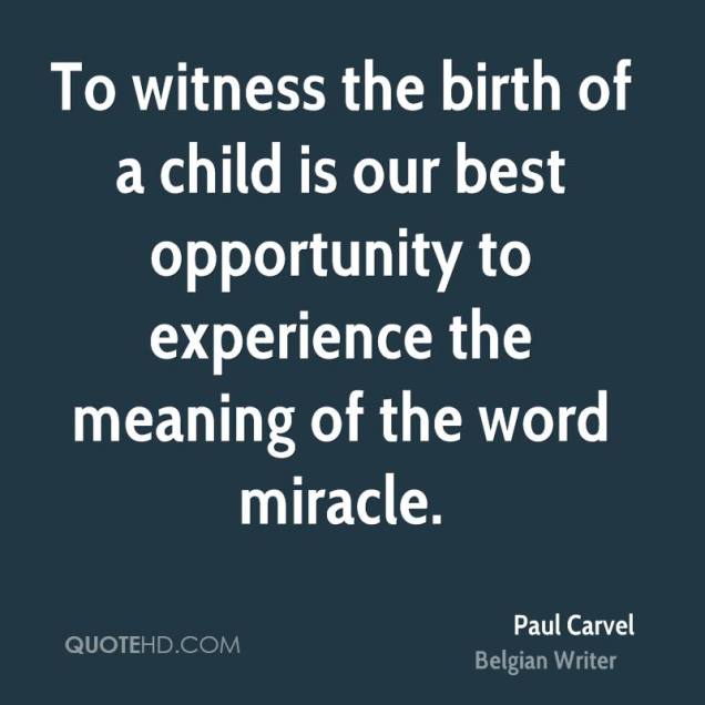paul-carvel-quote-to-witness-the-birth-of-a-child-is-our-best